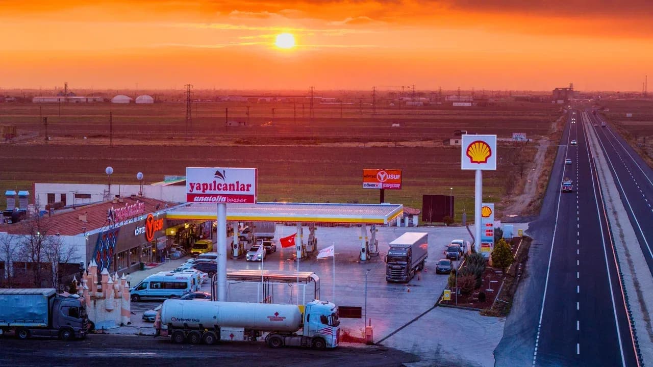 Shell Galerisi — görsel 4