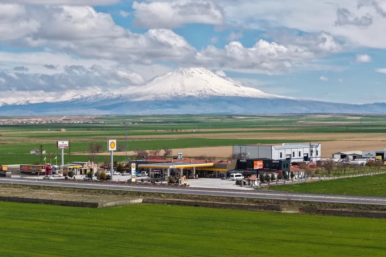 Shell Galerisi — görsel 2